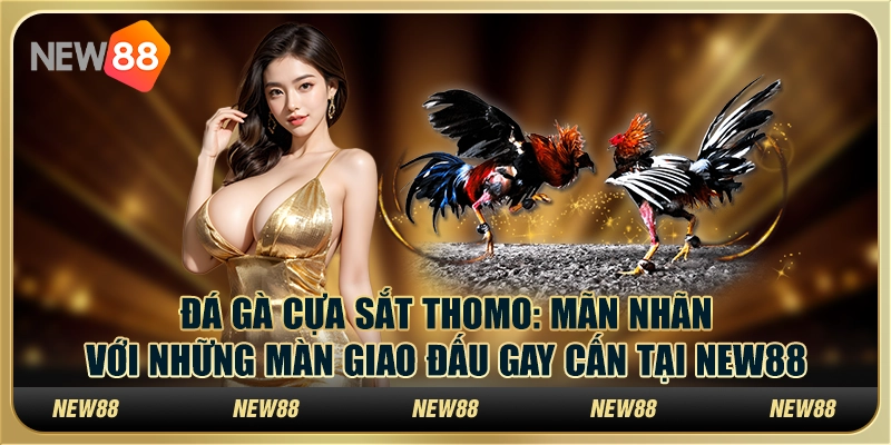 Đá gà cựa sắt Thomo: Mãn nhãn với những màn giao đấu gay cấn tại New88