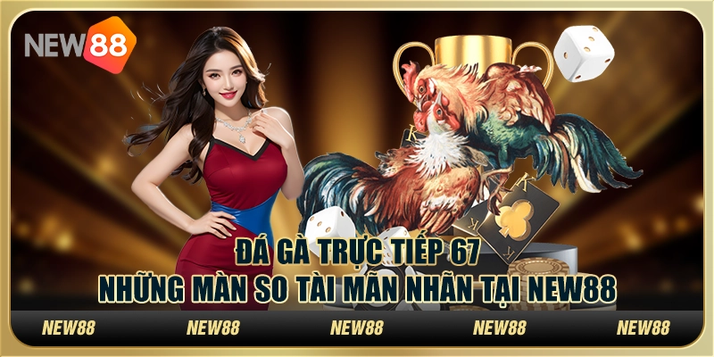 Đá gà trực tiếp 67: Những màn so tài mãn nhãn tại New88