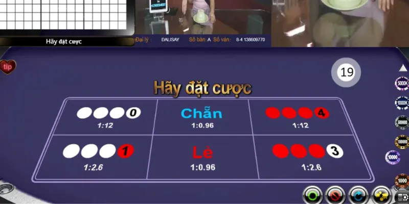 Thông thạo luật chơi Xóc đĩa con mực chi tiết 