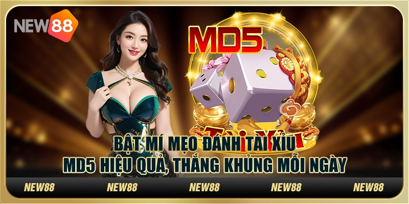 Bật mí mẹo đánh Tài Xỉu MD5 hiệu quả, thắng khủng mỗi ngày