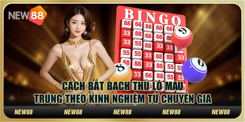 Cách bắt bạch thủ lô mau trúng theo kinh nghiệm từ chuyên gia