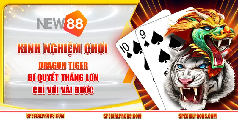 Kinh nghiệm chơi Dragon Tiger: Bí quyết thắng lớn chỉ với vài bước