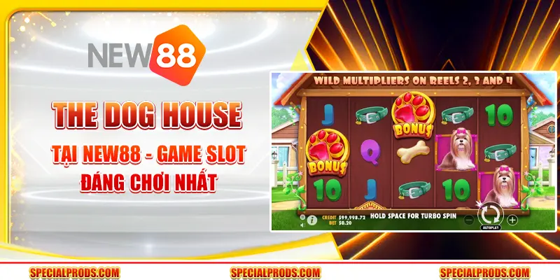The Dog House tại New88 - Game slot đáng chơi nhất
