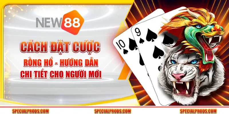 Cách đặt cược Rồng Hổ - Hướng dẫn chi tiết cho người mới