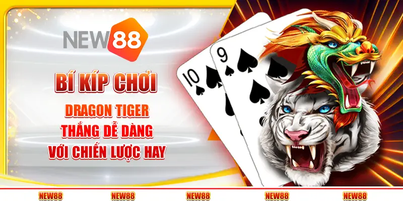 Bí kíp chơi Dragon Tiger - Thắng dễ dàng với chiến lược hay