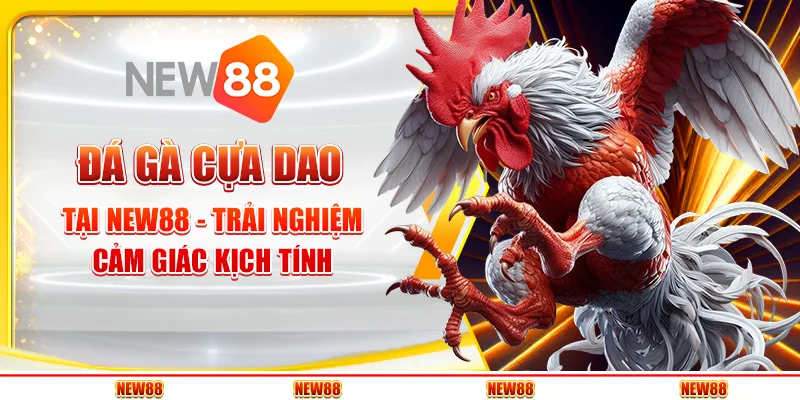 Đá gà cựa dao tại New88 - Trải nghiệm cảm giác kịch tính