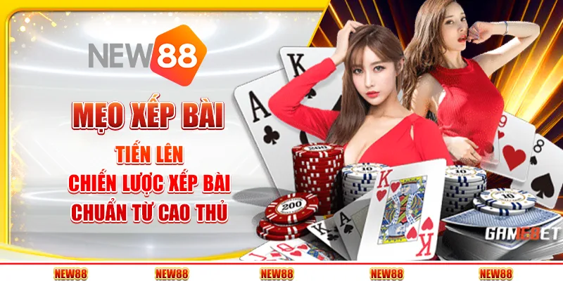 Mẹo xếp bài tiến lên – Chiến lược xếp bài chuẩn từ cao thủ