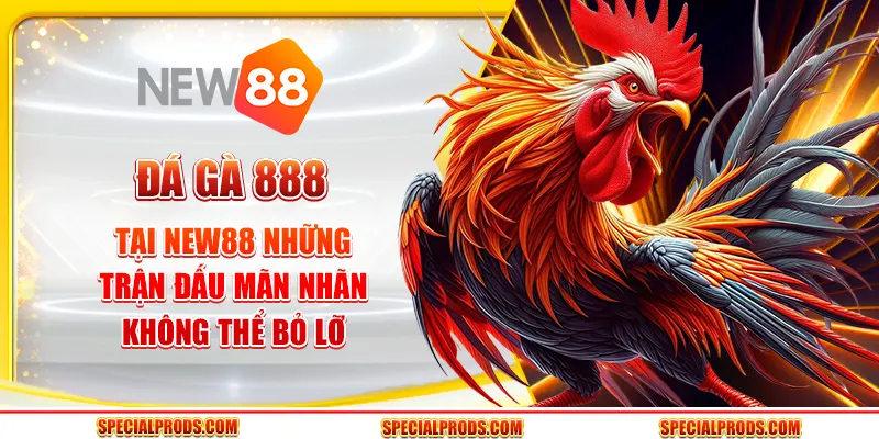 Đá gà 888 tại New88: Những trận đấu mãn nhãn không thể bỏ lỡ
