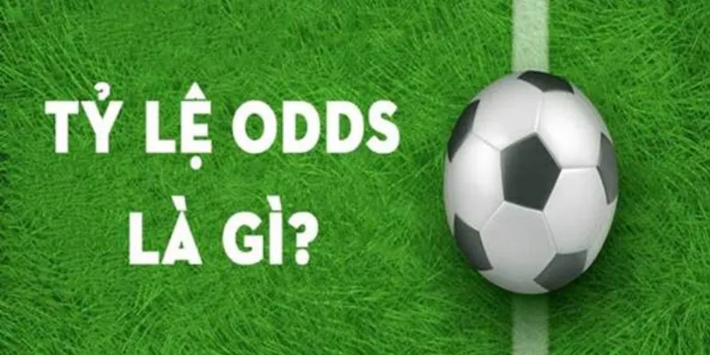 Odds là gì? Giải thích chi tiết về khái niệm này