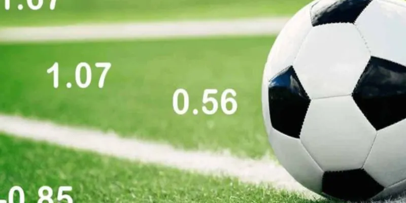 Cách đọc và giải thích bảng odds hiệu quả?