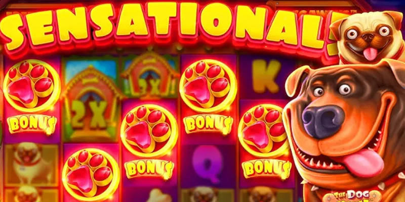 Luật chơi The Dog House chi tiết