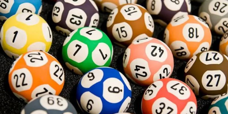 Những điều bạn cần biết về dàn đề bất tử