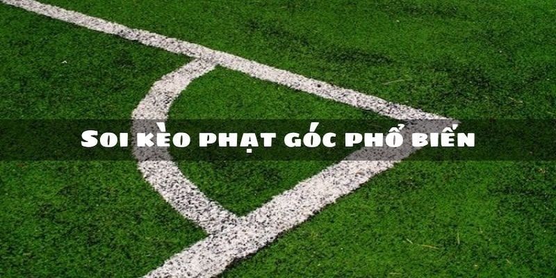 Tham khảo quy trình cược