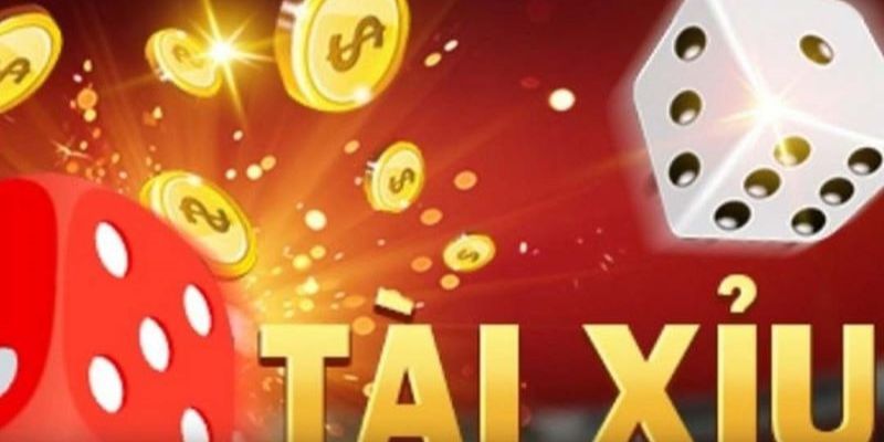 Những lưu ý khi sử dụng tool