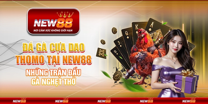Đá gà cựa dao Thomo tại New88 – Những trận đấu gà nghẹt thở