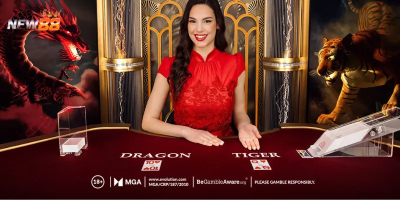 Những thuật ngữ quan trọng khi chơi Live Dragon Tiger