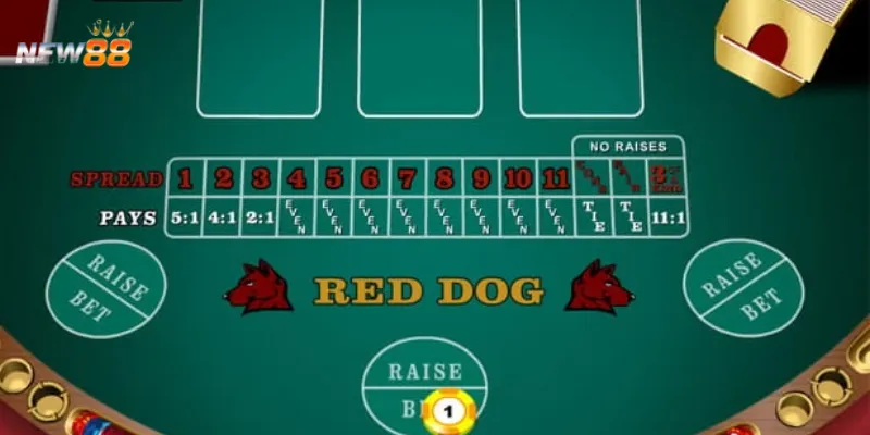 Chiến thuật chơi Red Dog Poker giúp bạn nắm thế chủ động