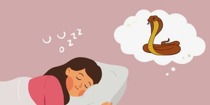 Những giấc mơ kỳ lạ về rắn mà có thể bạn đã gặp