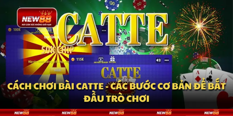 Cách chơi bài Catte - Các bước cơ bản để bắt đầu trò chơi