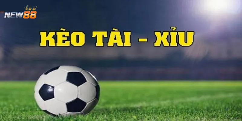 Mẹo soi kèo tài xỉu từ những bậc thầy cá độ