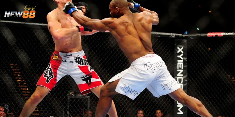 Mẹo bắt kèo cá cược boxing chuẩn không lệch