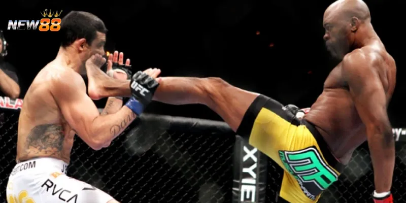 Tìm hiểu sơ lược về cá cược boxing