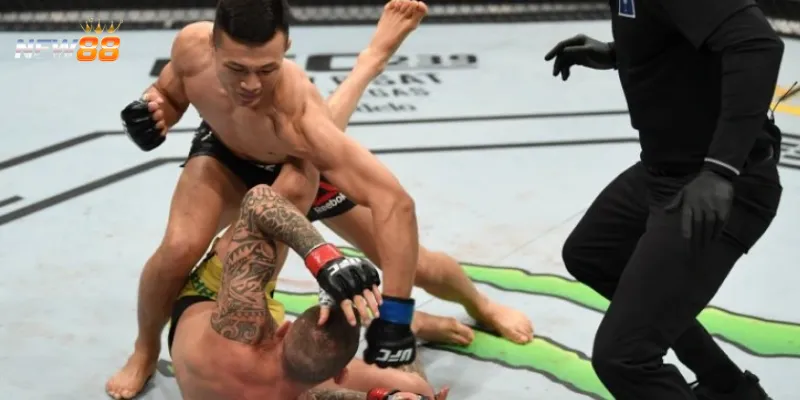 Luật chơi cá cược boxing dễ hiểu cho tân thủ