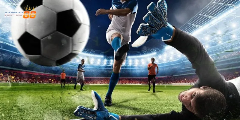 Bí quyết chơi kèo rung cho người mới đạt hiệu quả cao