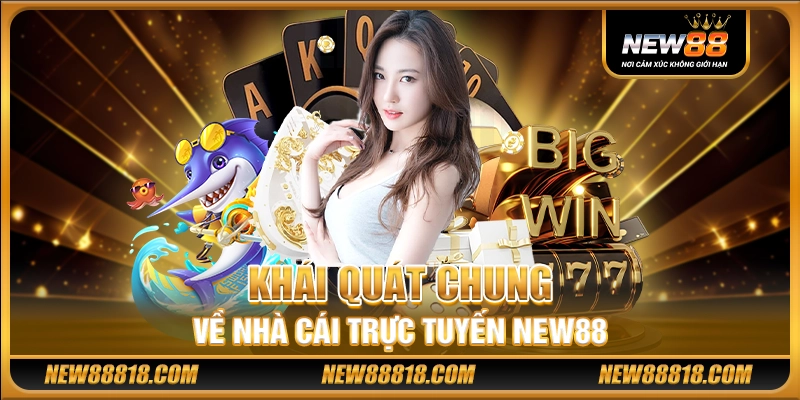 Khái quát chung về nhà cái trực tuyến New88
