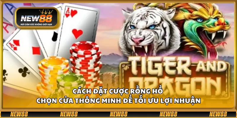 Cách đặt cược Rồng Hổ – Chọn cửa thông minh để tối ưu lợi nhuận