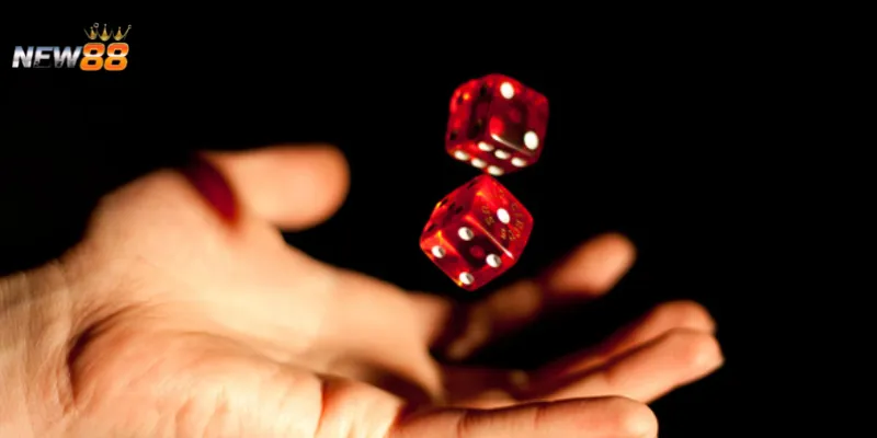 Cách đoán tài xỉu xí ngầu hiệu quả hiện nay là gì?