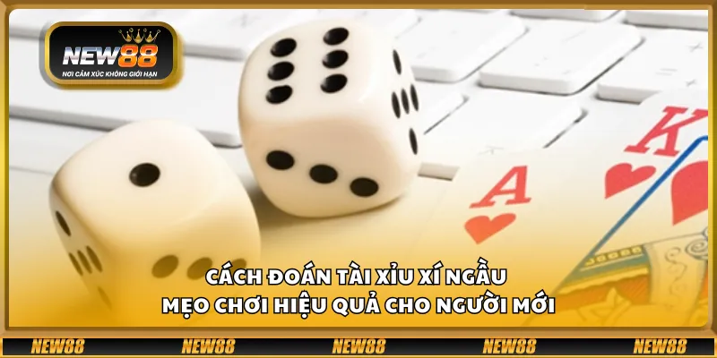 Cách đoán tài xỉu xí ngầu – Mẹo chơi hiệu quả cho người mới