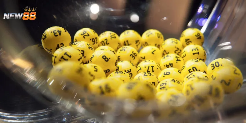 Cách xác định thời điểm cầu quả trám hình thành?